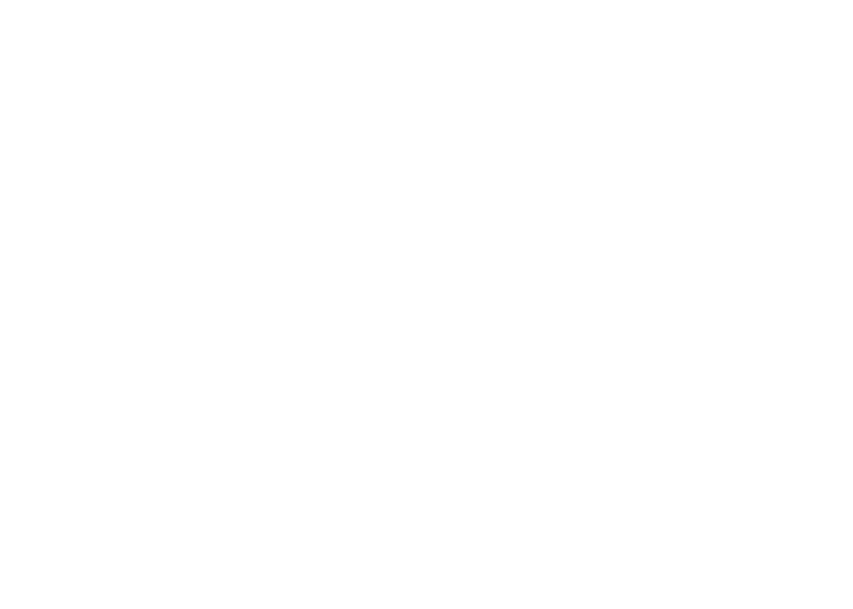 Viscery Studio