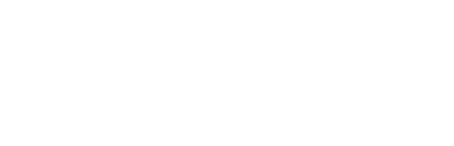 Viscery Studio
